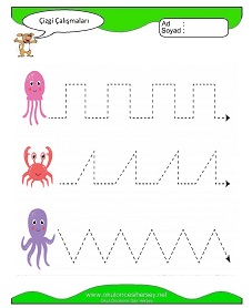 Çizgi Çalışma Sayfaları